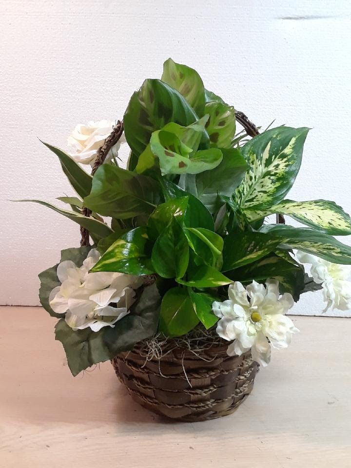 Green Planter w/White