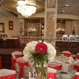 Hydrangea and Red Gerbera Diasy centerpiece