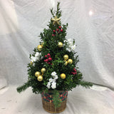Boxwood Christmas Tree