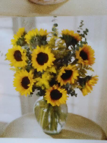 Sun flower dreams