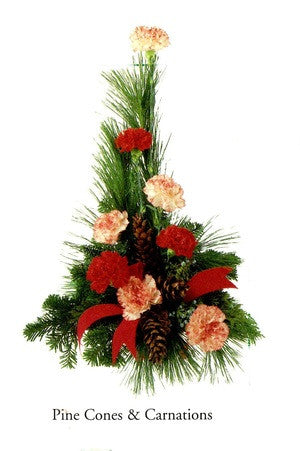 Pine Cones and Carnations