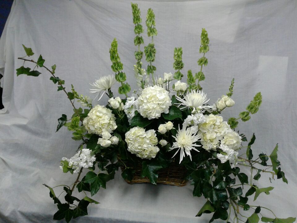 Hydrangea Arrangement