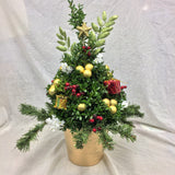Boxwood Christmas Tree