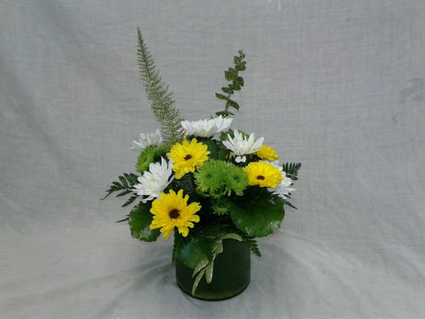 Lemon and Lime Daisies