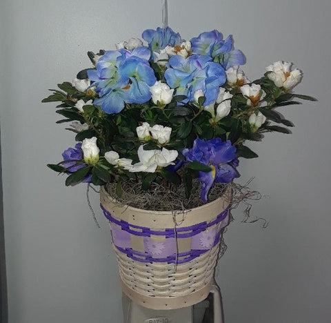Blue and White Blooming Plant *Call for Availability and Pricing*