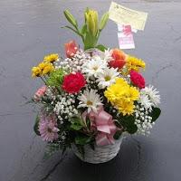 Think Spring Mix Basket